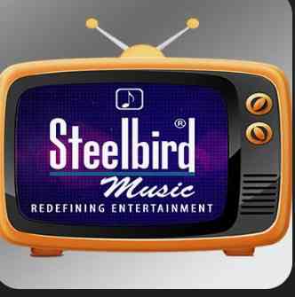 Steelbird Music Live